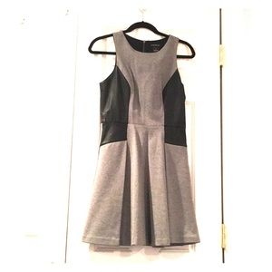 Club Monaco Skater dress